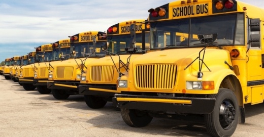 school buses in row