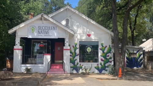 Photo of a plant store