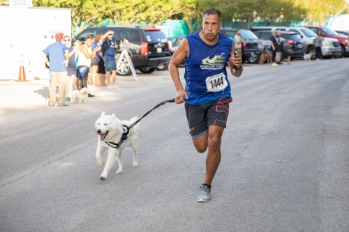 Nonprofit Spay-Neuter-Inject-Protect San Antonio presents its Race for the Rescues fundraiser, seen here in 2019, on Sept. 25 in Alamo Heights. (SNIPSA)