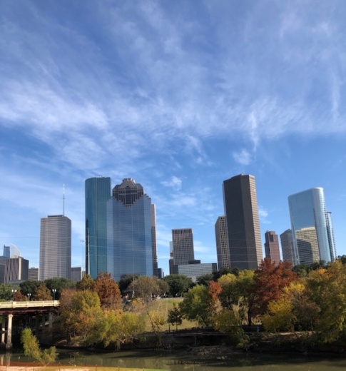 Eleven companies operating across the Greater Houston area have agreed to discuss plans to capture and store carbon dioxide emissions. (Marie Leonard/Community Impact Newspaper)