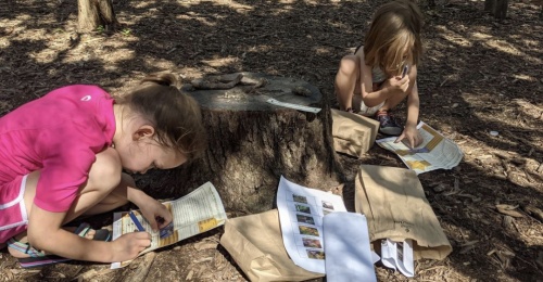 In-person nature education programs are coming back to Phil Hardberger Park. (Courtesy Phil Hardberger Park Conservancy)
