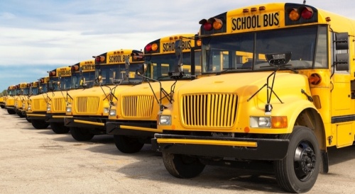 Yellow school busses lined up.