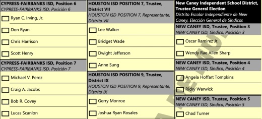 A sample ballot for elections in Harris County lists Houston ISD candidate Mac Walker's name as his birth name, "Lee Walker," despite the candidate filing as Mac Walker with HISD. (Screenshot Courtesy Harris Votes)