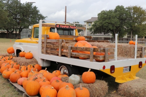 The Universal City Pumpkin Patch opened for the 2021 season and offers family activities on the weekends. (Courtesy Universal City)