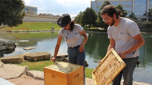 Beekeeper Rock Delliquanti (right) holds the top to a hive as Michelle Winter checks the health of the bees. (Brooklynn Cooper/Community Impact Newspaper)