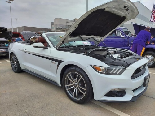 The Mustang Club of Houston will be hosting its annual Fall Open Car Show on Oct. 16. (Courtesy Mustang Club of Houston)