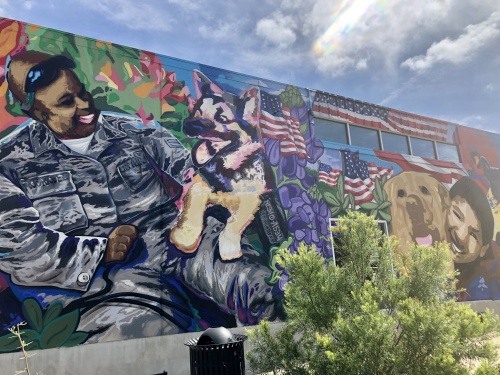 Wag Heaven's mural depicts Nemo, a German Shepherd who served in the U.S Air Force during Vietnam and saved his handlers life on the field of battle. (Brittany Andes/Community Impact Newspaper)