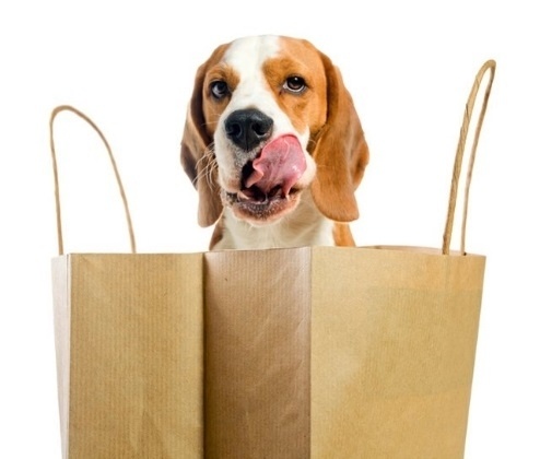 Pet Supplies Plus will offer a range of pet supplies as well as full grooming services for dogs and cats. (Courtesy Pet Supplies Plus)