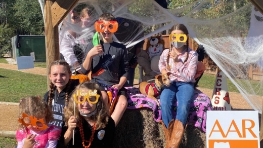 People, pets and fall activities will come together at Howl-O-Ween, hosted by the Abandoned Animal Rescue in Magnolia. (Courtesy Karen Pitcock)