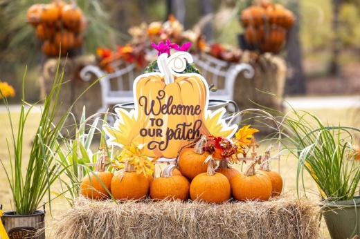 The Woodlands Hills development is hosting a model home tour and fall festival Nov. 6. (Courtesy The Woodlands Hills)