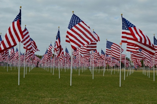 About 1,500 full-size American flags will be placed in San Gabriel Park for the Field of Honor. (Taylor Girtman/Community Impact Newspaper)