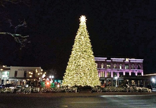 The Franklin Christmas tree will be lit on the night of Dec. 3 and remain lit through the month of December. This is a photo of the 2020 tree lighting. (Lindsay Scott/Community Impact Newspaper)