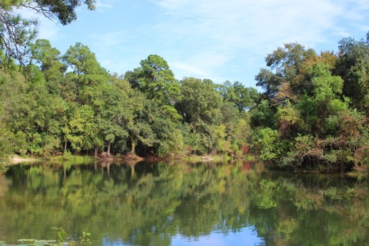 Kickerillo-Mischer Preserve is located on Chasewood Park Drive near Hwy. 249. (Community Impact Newspaper staff)