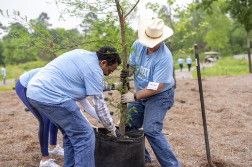 Harris County Precinct 4’s Legacy Trees Project is committed to promoting the benefits of trees, supporting the cultural heritage of Texas, and engaging the public through volunteering and planting opportunities. (Courtesy Legacy Trees Project) 