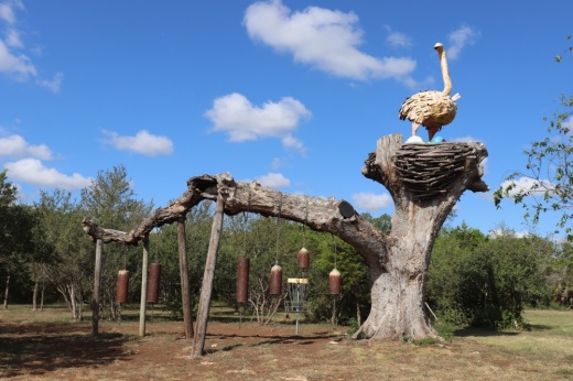 Seen is a hole on one of the courses at Flying Armadillo Disc Golf Club in San Marcos. (Zara Flores/Community Impact Newspaper)