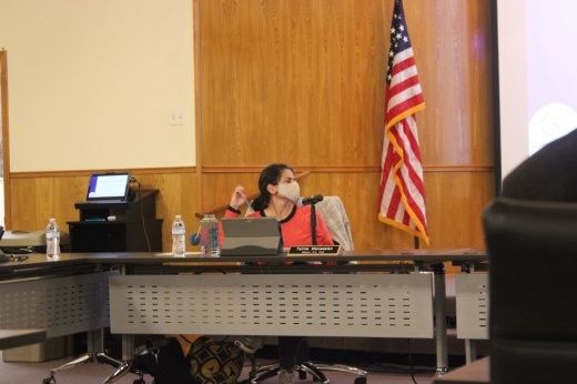 Taline Manassian and other Dripping Springs City Council members discussed the influence of the city's temporary development moratorium during the Jan. 11 meeting. (Maggie Quinlan/Community Impact Newspaper)