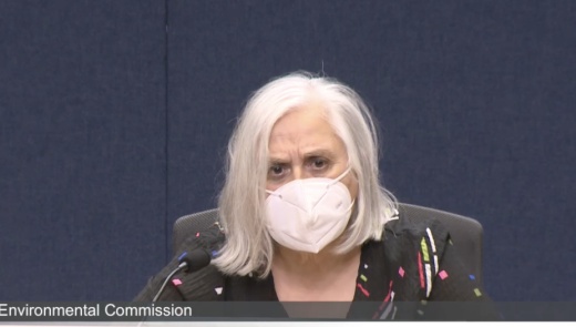 Austin Environmental Commission Chair Linda Guerrero voted to recommend allowing the removal of one tree but said she would like to see changes to the process. (Screenshot courtesy city of Austin)