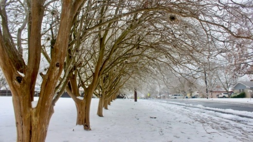 Winter Storm Uri was one of several historically significant storms the Texas Commission on Environmental Quality analyzed in a report on industrial emissions. (Jack Flagler/Community Impact Newspaper)
