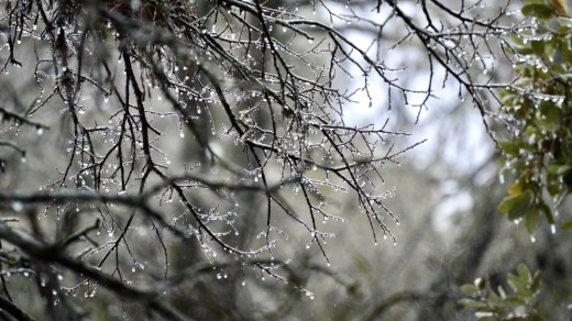 Here are winter storm updates for Cedar Park and Leander residents as of 9 a.m. Feb. 3. (Taylor Girtman/Community Impact Newspaper)