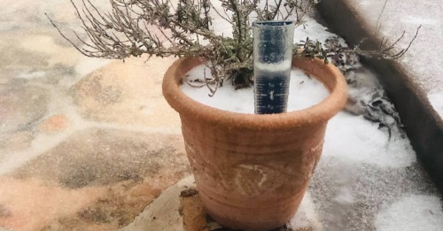 A rain gauge sticks out of a planter in a frozen backyard.
