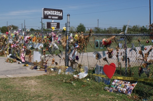 The Georgetown City Council adopted several amendments to the fire code in regards to animal care facilities after the fire at the Ponderosa Pet Resort in Georgetown. (Eddie Harbour/Community Impact Newspaper)