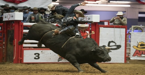 The San Antonio Stock Show and Rodeo brings approximately 1.5 million people each year to the 17 days of events. (Courtesy San Antonio Stock Show and Rodeo)