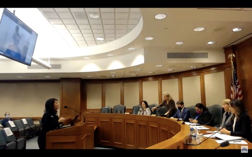 Representatives hear testimony from Austin EMS Association President Selena Xie. (Courtesy of Representative Vikki Goodwin)