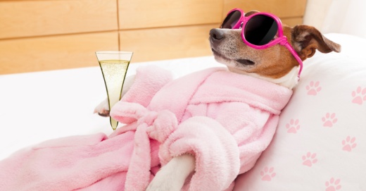 Want to know more about new businesses coming to Missouri City and Sugar Land? Check out this roundup. (Courtesy Canva)