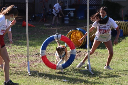 Club Pup Summer Camp is one of the more than 50 businesses in the Northwest Austin area offering a summer camp. (Courtesy Club Pup Summer Camp) 