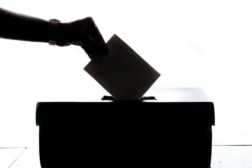 Early voting totals could produce a runoff between two Republican candidates vying for Congressional District 29. (Courtesy Pexels)