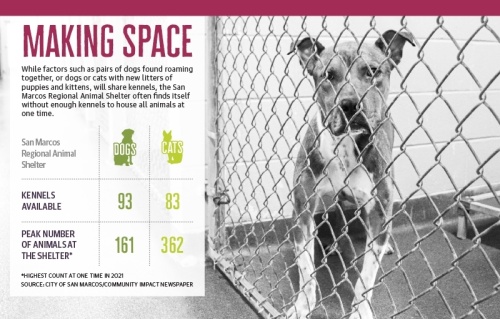 Length of stay and capacity issues fluctuate throughout the year, and for the past two years, the shelter has managed a 92% live outcome rate of cats and dogs leaving the shelter through adoption or other care. (Graphics by Rachal Russell/Community Impact Newspaper)
