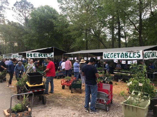 The Montgomery County Master Gardener Association's spring plant sale will be held March 26. (Courtesy MCMGA)