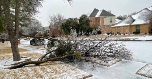 Richardson Emergency Management Services dealt with 62 areas of downed trees throughout the city as well as several downed power lines.  (Courtesy city of Plano)