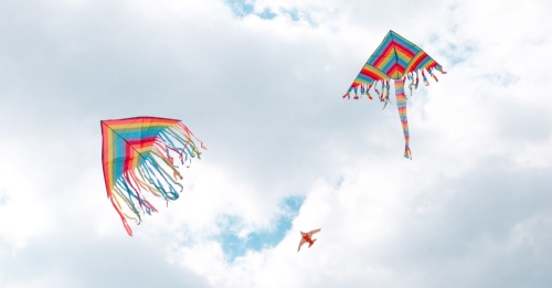 One event to attend this weekend is the International Art & Kite Festival. (Courtesy Canva)
