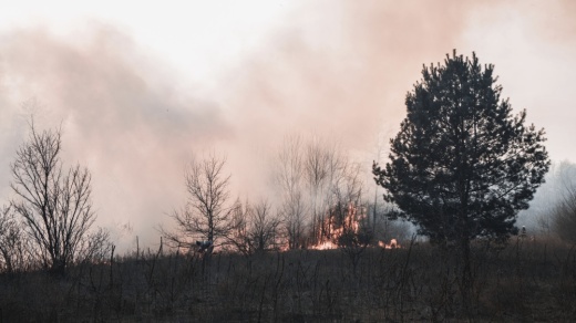 Williamson County voted April 1 to extend its burn ban. (Courtesy Pexels)