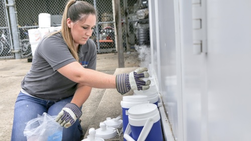 Senior Environmental Quality Specialist Carolyn Russell prepares mosquito traps to set around Plano as part of the city's health measures against the West Nile virus. (Courtesy city of Plano)