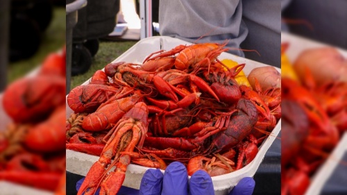 The Crawfish Festival is one of Hutto's staple community events. (Courtesy Hutto Area Chamber of Commerce)