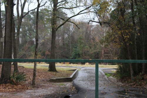 Rain collects along a trail at Collins Park, located along Cypress Creek in the Spring area. Community group the Cypress Creek Flooding task force fears if a 100-year flooding event occurs, regions along Cypress Creek could be damaged, including the Cypress Creek Cultural District. (Emily Lincke/Community Impact Newspaper)