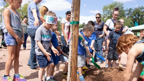 Gilbert Earth Day and Arbor Day planting activity