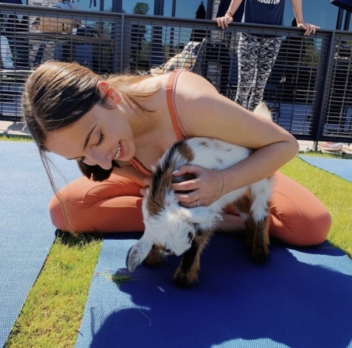 Goat yoga comes to NettBar May 7 with Goat Yoga Houston. (Courtesy Goat Yoga Houston)