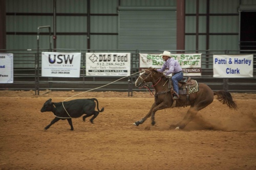 The Dripping Springs Fair & Rodeo will feature rodeo events including barrel racing, bull riding, mutton busting, bronco riding and more. (Courtesy Dripping Springs Ranch Park)