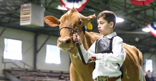The 2022 Fort Worth Stock Show & Rodeo had more than 29,000 livestock entries, according to a report discussed at the May 17 City Council meeting. (Courtesy Fort Worth Stock Show & Rodeo)