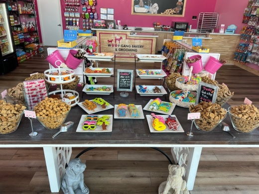 The pet store franchise offers retail, grooming, day care and wellness services. (Courtesy Amith Patel)