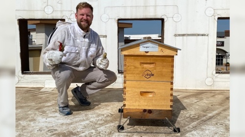 Beekeeper Matt Hill and with the Tanger Outlets Fort Worth beehive
