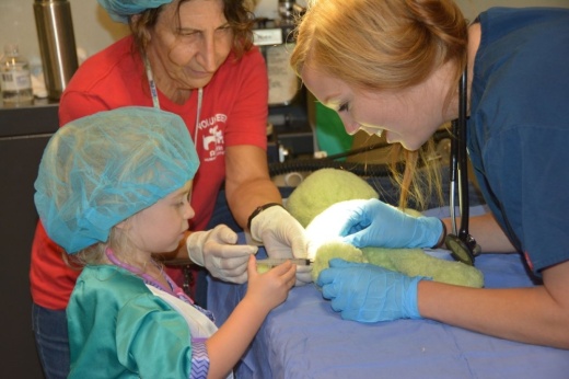 Children will be able to bring injured or sick teddy bears in need of a little extra love and care to the Austin Humane Society Shelter. (Courtesy Austin Humane Society)