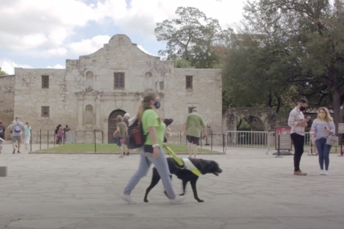 Local nonprofit Guide Dogs of Texas will present an information session June 10 for people interested in taking part in GDT’s guide dog mobility instructor program. (Courtesy Guide Dogs of Texas)