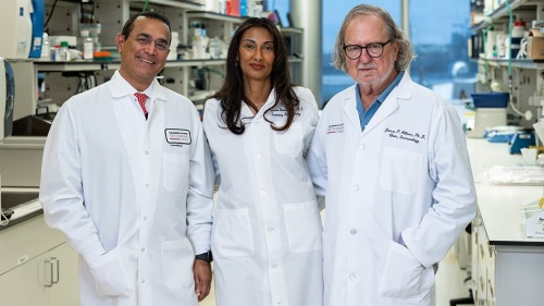Dr. Raghu Kalluri, Dr. Padmanee Sharma and Dr. James Allison lead the newly operating Allison Institute at MD Anderson's TMC campus. (Courtesy of MD Anderson Cancer Center)