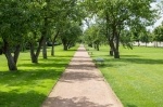 Path through the park
