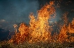 Dry and windy conditions in Middle Tennessee have caused Brentwood officials to temporarily ban burn permits.