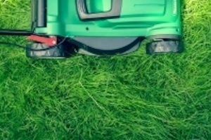 290 Grass sells sod squares and offers tips on how to maintain a healthy lawn on its webpage. (Courtesy Adobe Stock)
